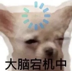 橙橙的头像-萌玩ACG